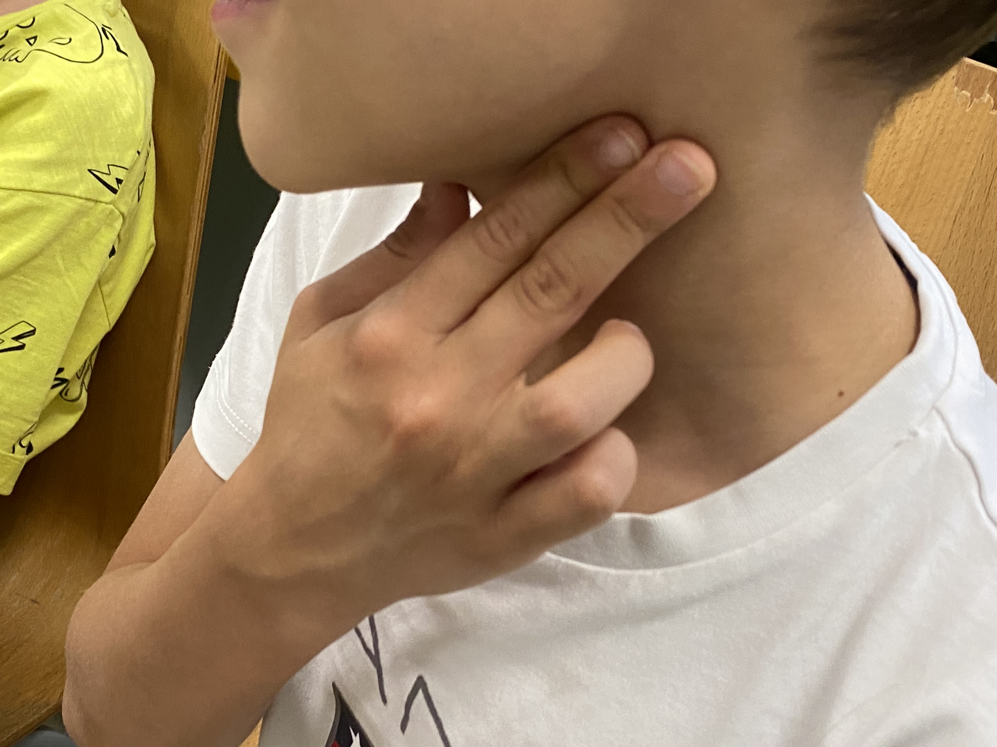 Atelier pentru elevi - activitate practică